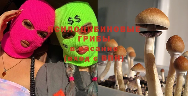 PSILOCYBIN Кулебаки