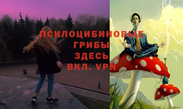 СК Лагань