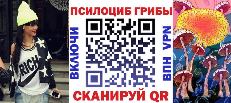 Галлюциногенные грибы Psilocybe  ОМГ ОМГ ссылка  Элиста 