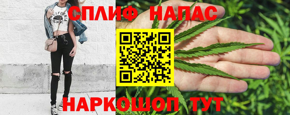 Элиста  Бошки марихуана семена  Бошки марихуана White Widow  Канабис планчик  Вход с VPN 